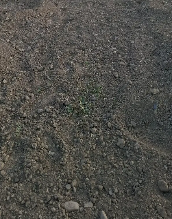 زمین مسکونی_ ویلایی_ سند ششدانگ