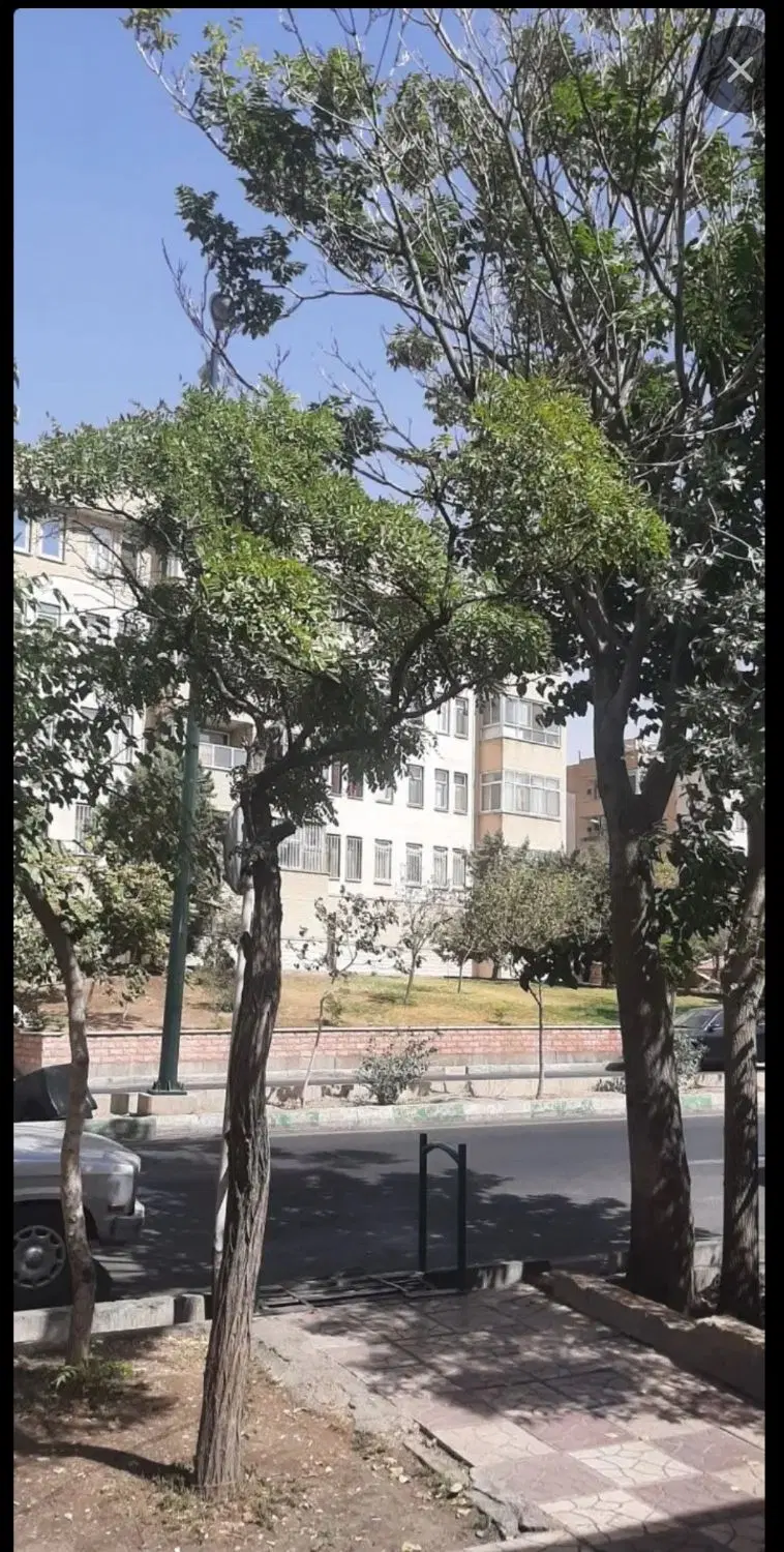 واحد87متری کوی دانشگاه