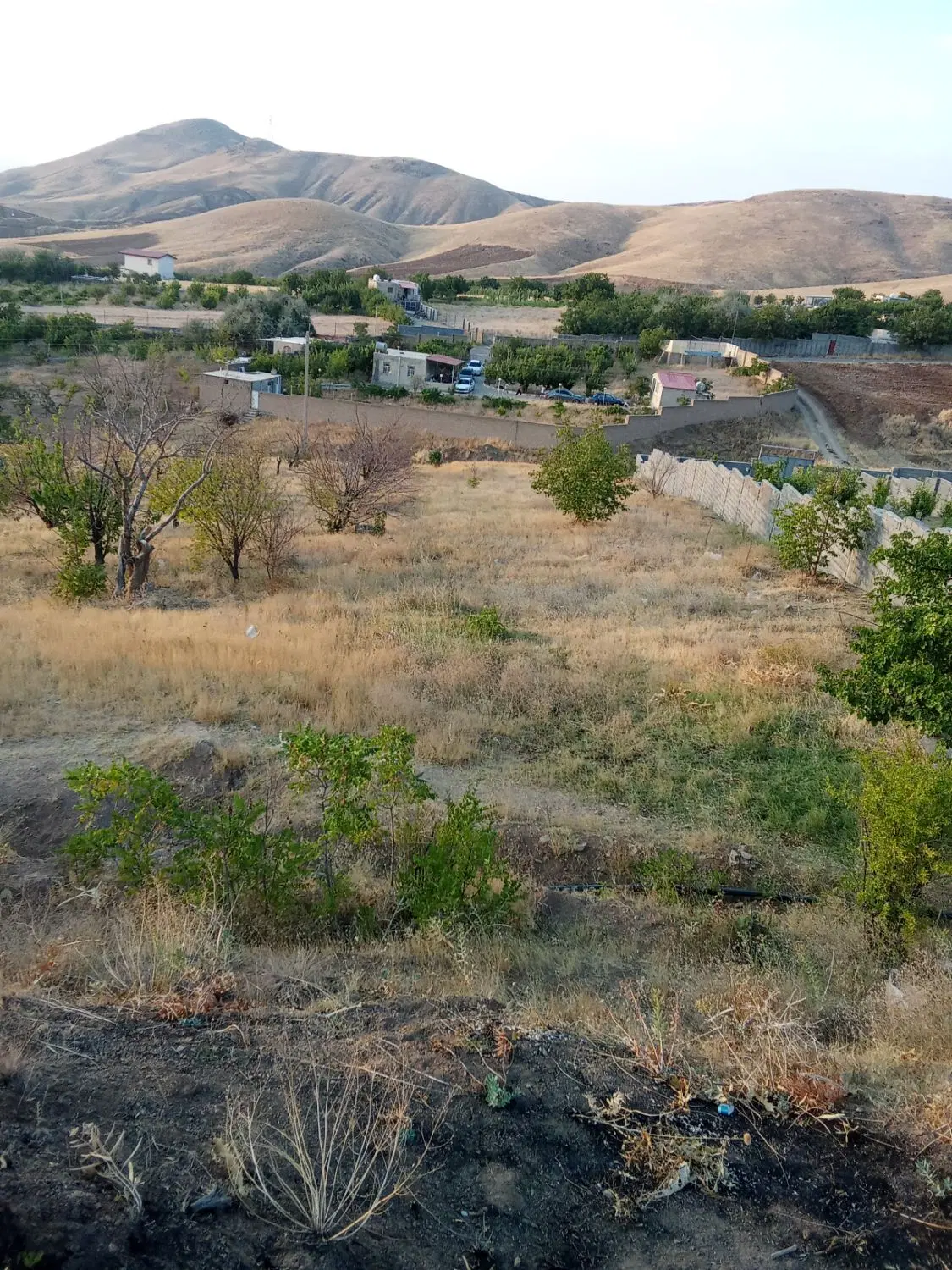 1500متر زمین کشاورزی