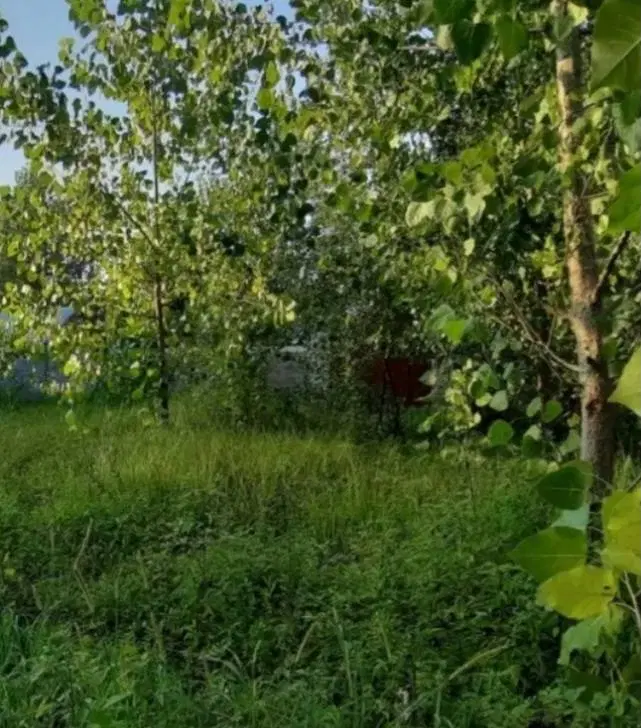 زمین مسکونی در شهرفومن
