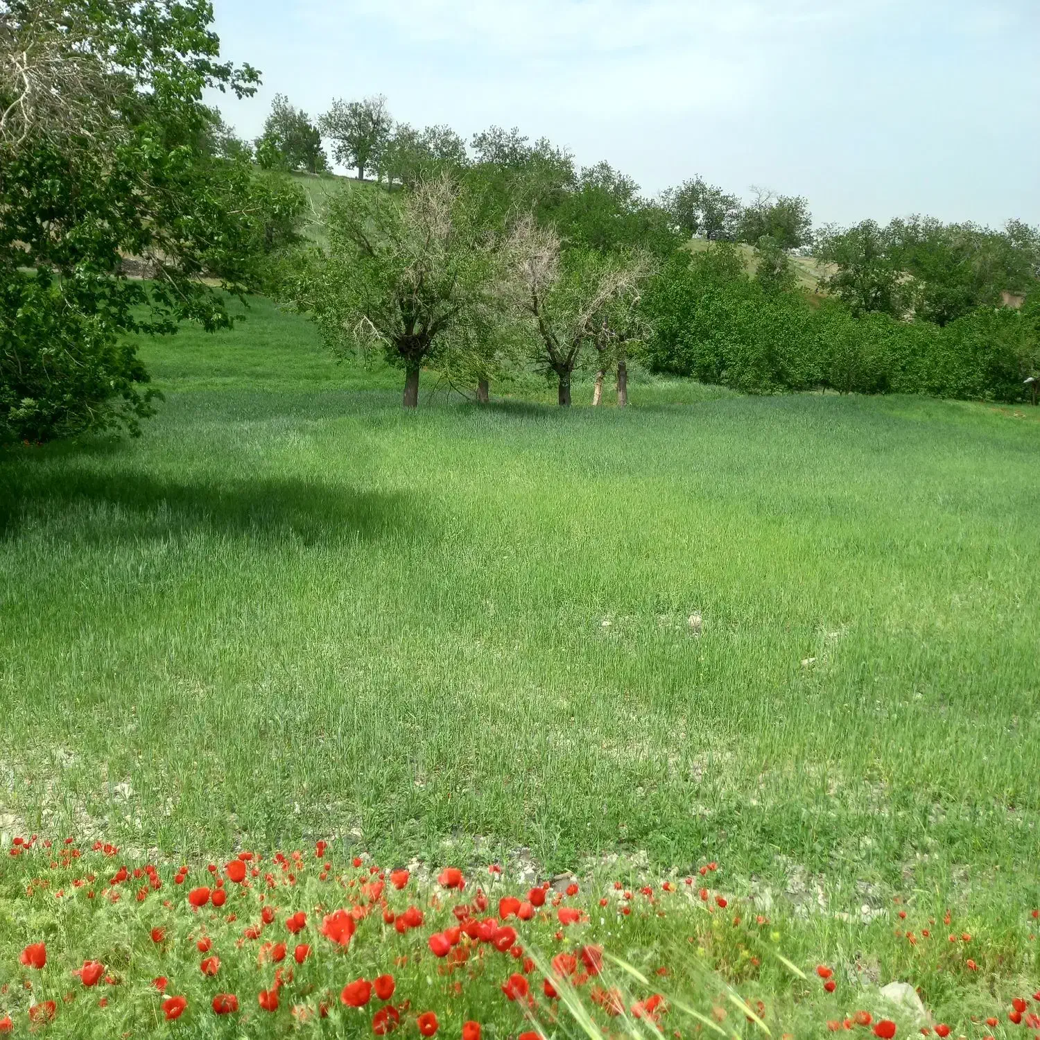 خانه ویلایی عدل خمینی