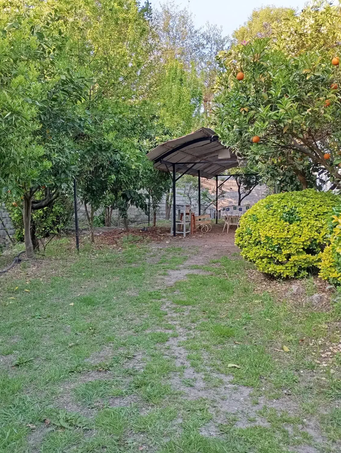 ویلا ساحلی