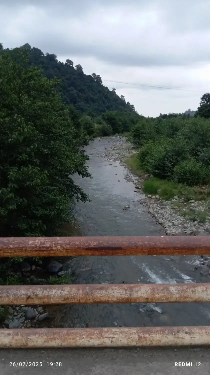 ویلای جنگلی
