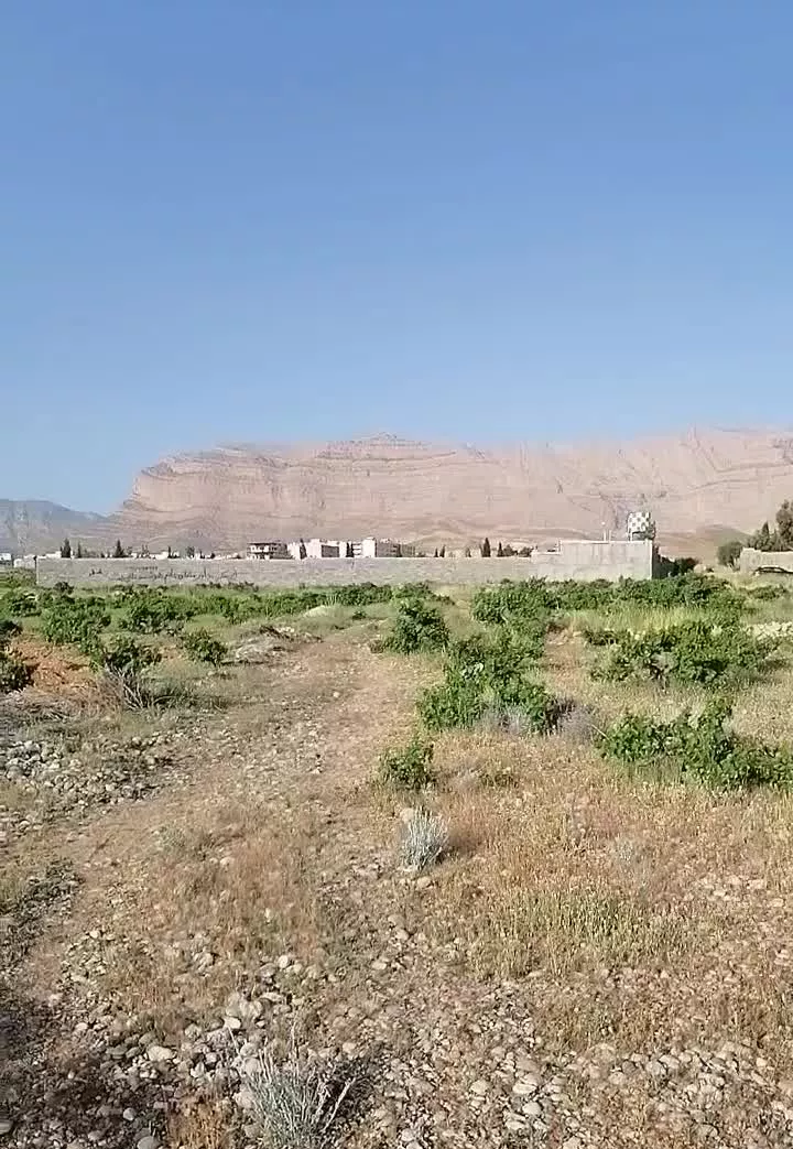 باغ شهری (باغ انگوری) دوکوهک