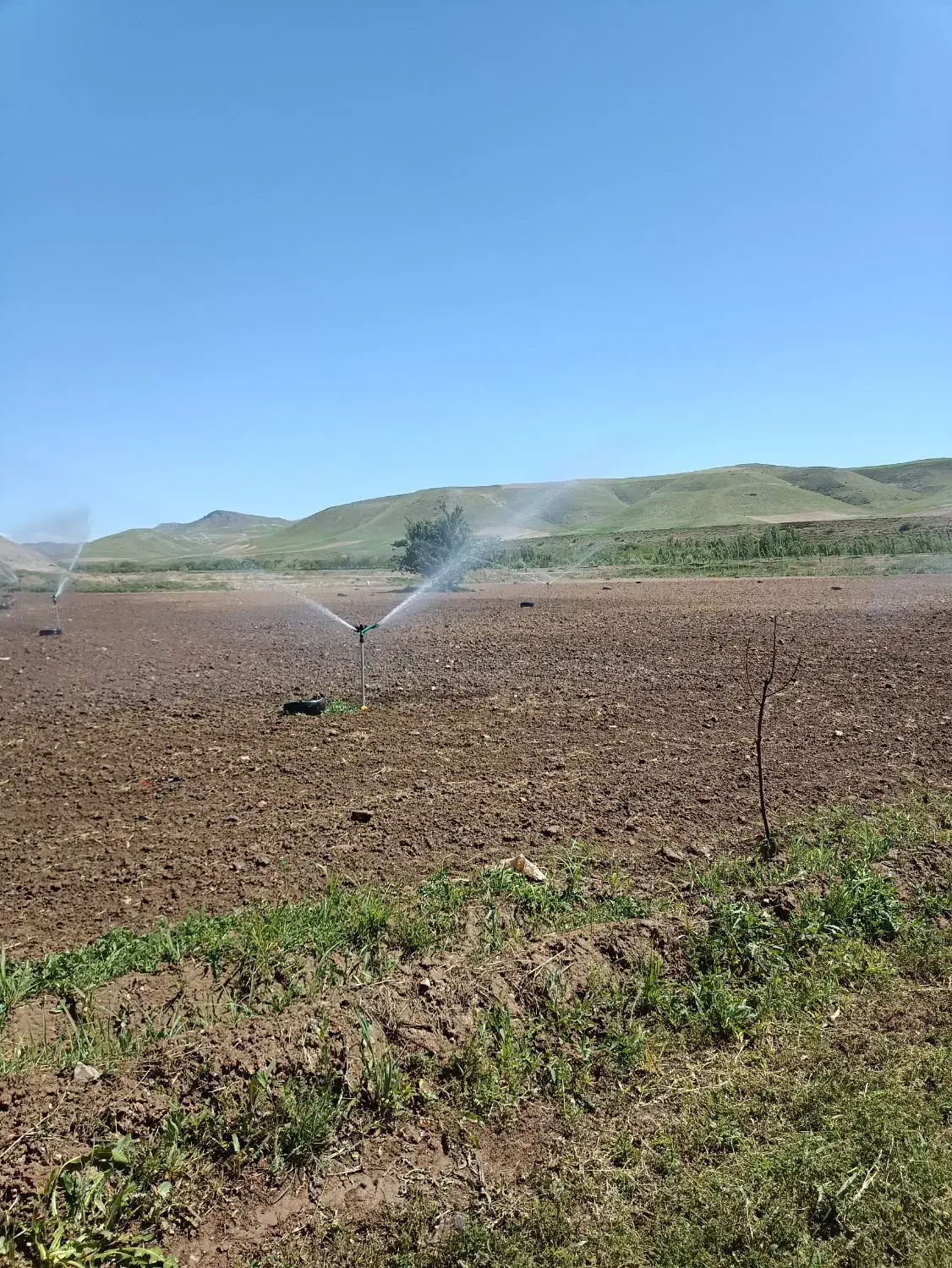زمین کشاورزی