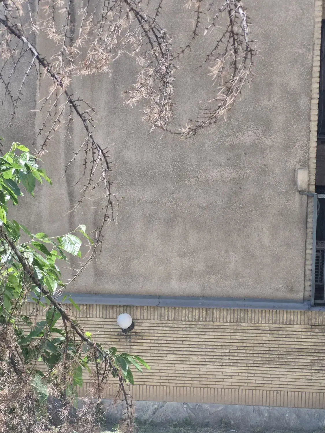 خانه