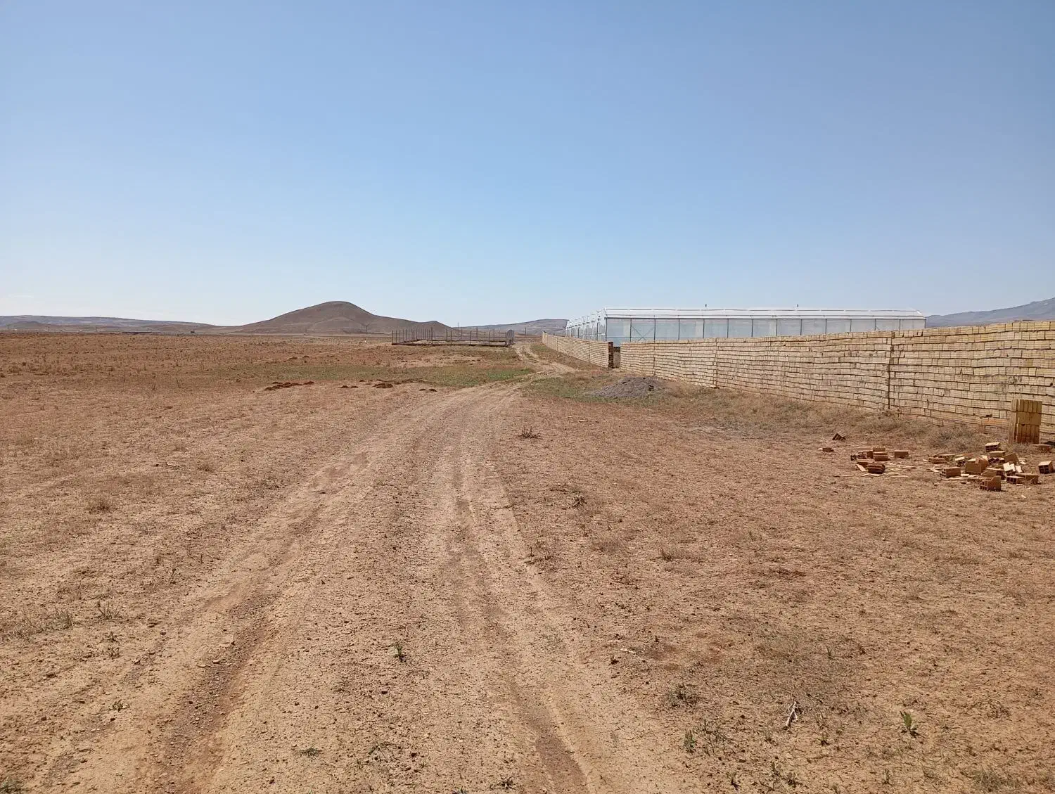 زمین ۵۰۰ متر شش دانگ