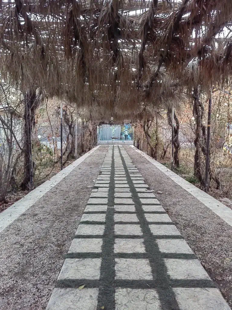 10قصب شهرک اب