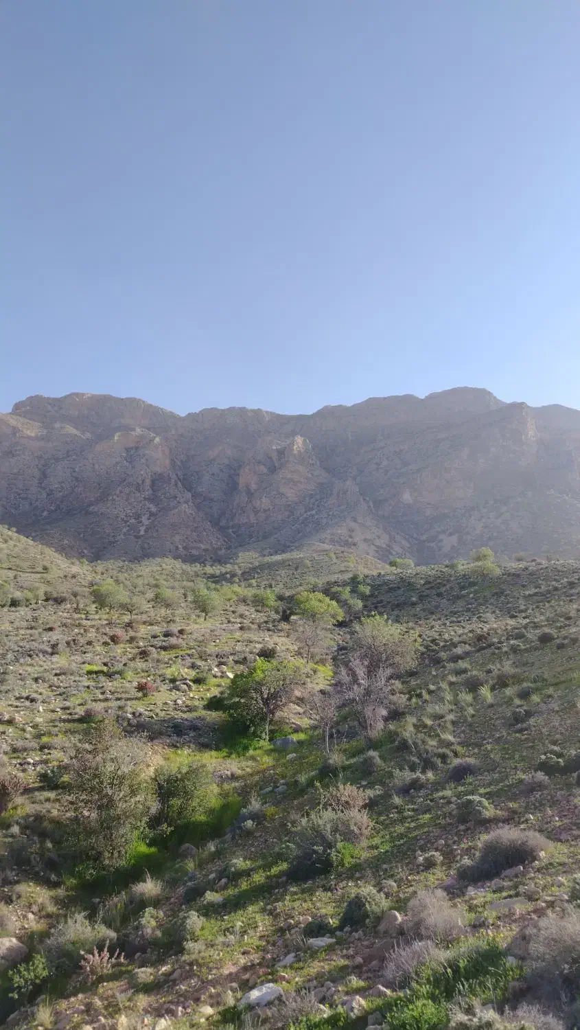 زمین کشاورزی
