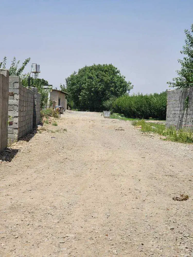 زمین چهاردیواری دامداری باغ