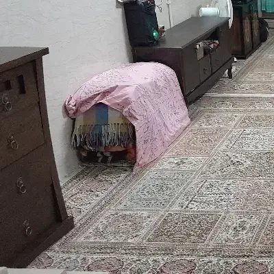 همخونه