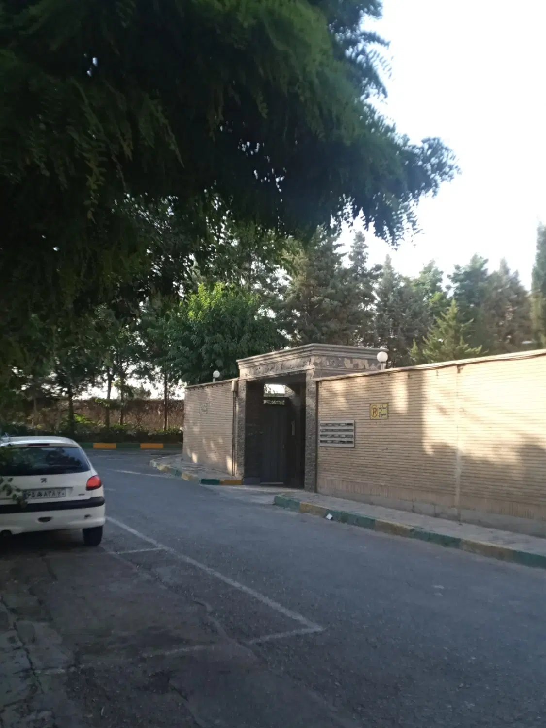 60متر سند تک برگ