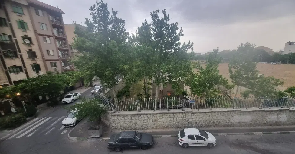 همخونه
