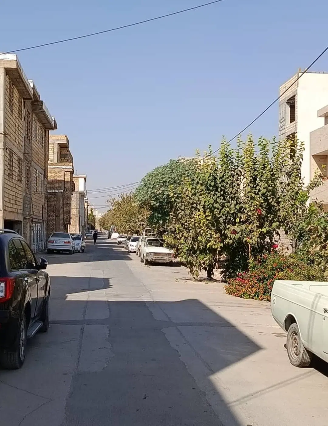فرصت استثنایی سرمایه گذاری