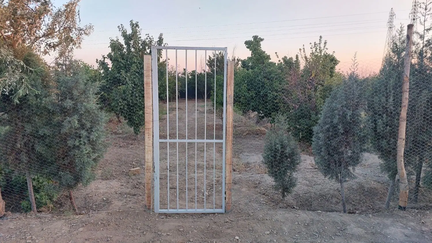 زمین باغچه فیروزبهرام شهاب شهر