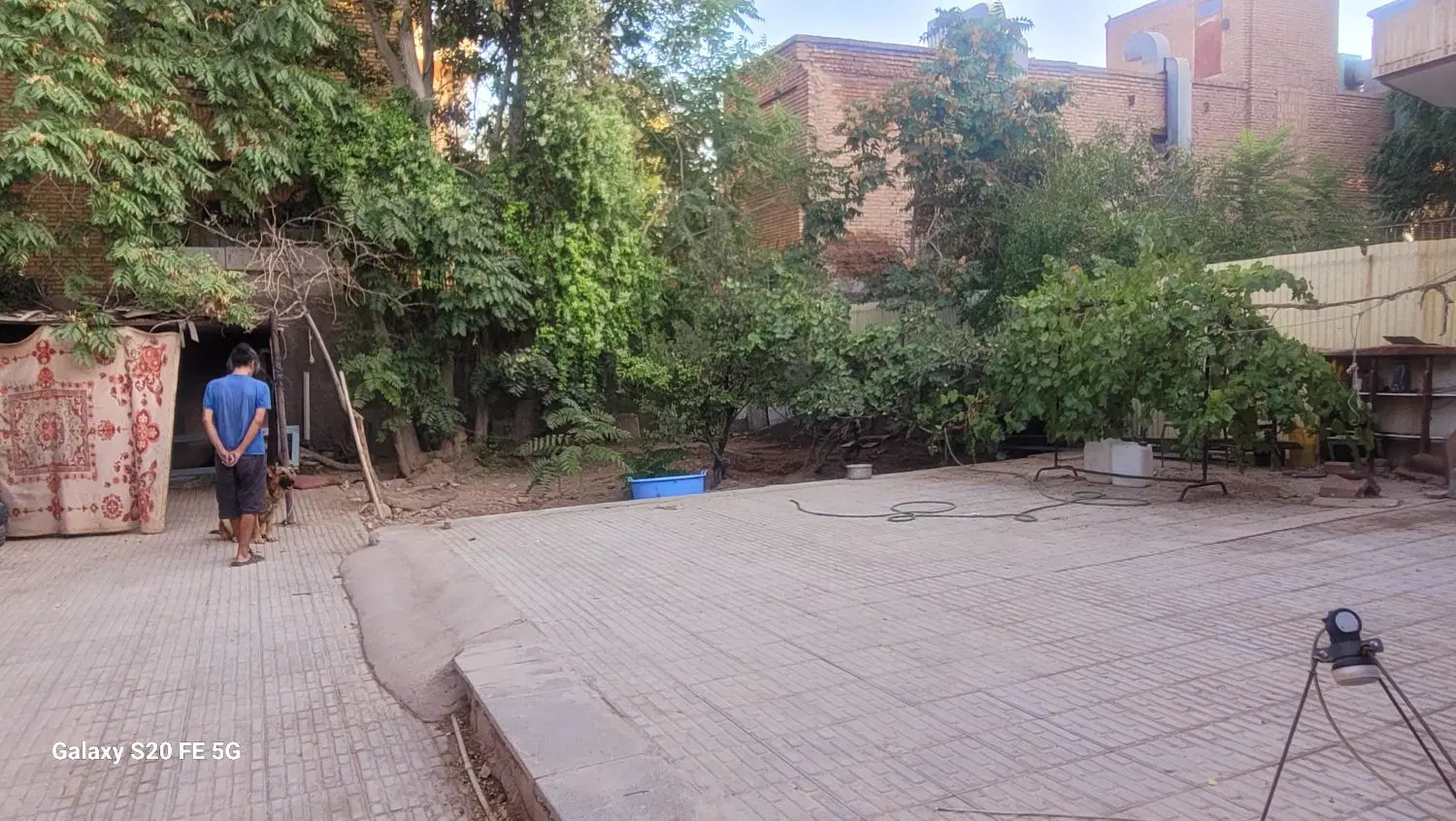 ۲۵ قصب چهارراه کاظمی