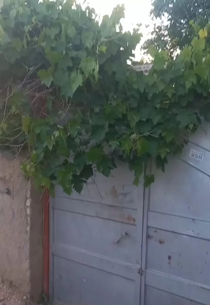 ویلایی روستای گهوه سند تک برگ