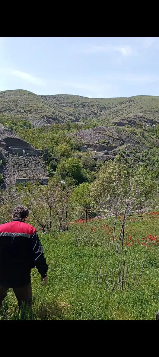 باغ مایان
