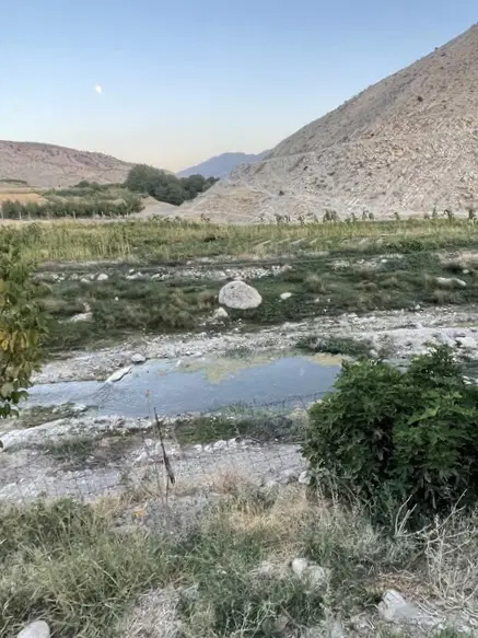 فروش یا معاوضه با واحد باغ میشخاص