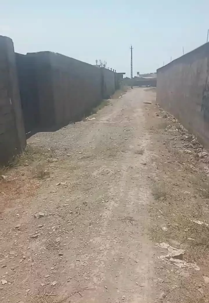 زمین باغچه