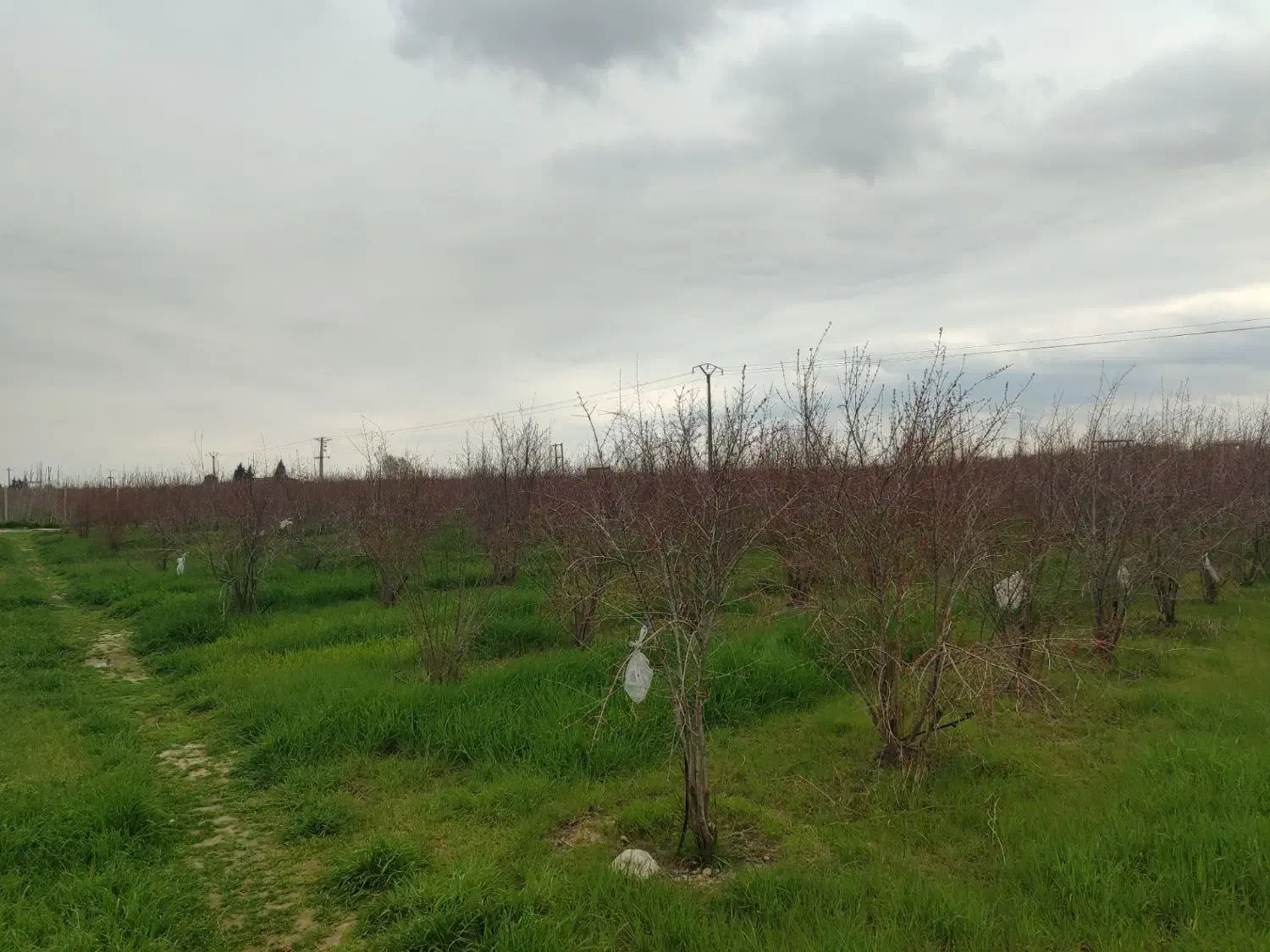 زمین جاده گرگان کردکوی