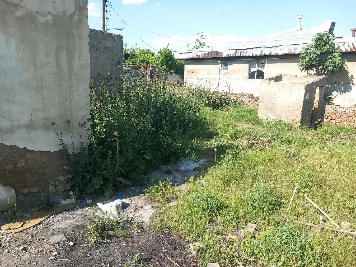 خانه کلنگی نزدیک جنگل قرق بابهترین همسایه