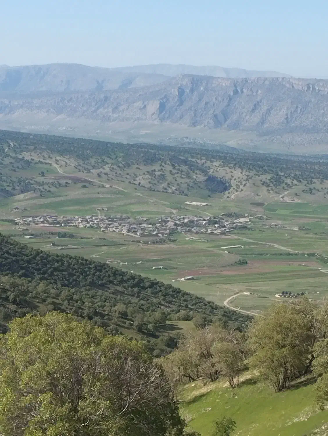 فروش زمین کشاورزی