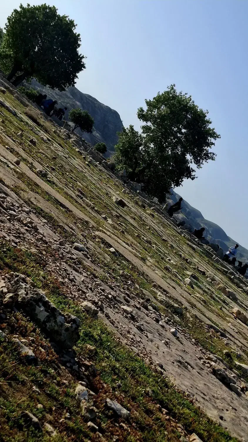زمین