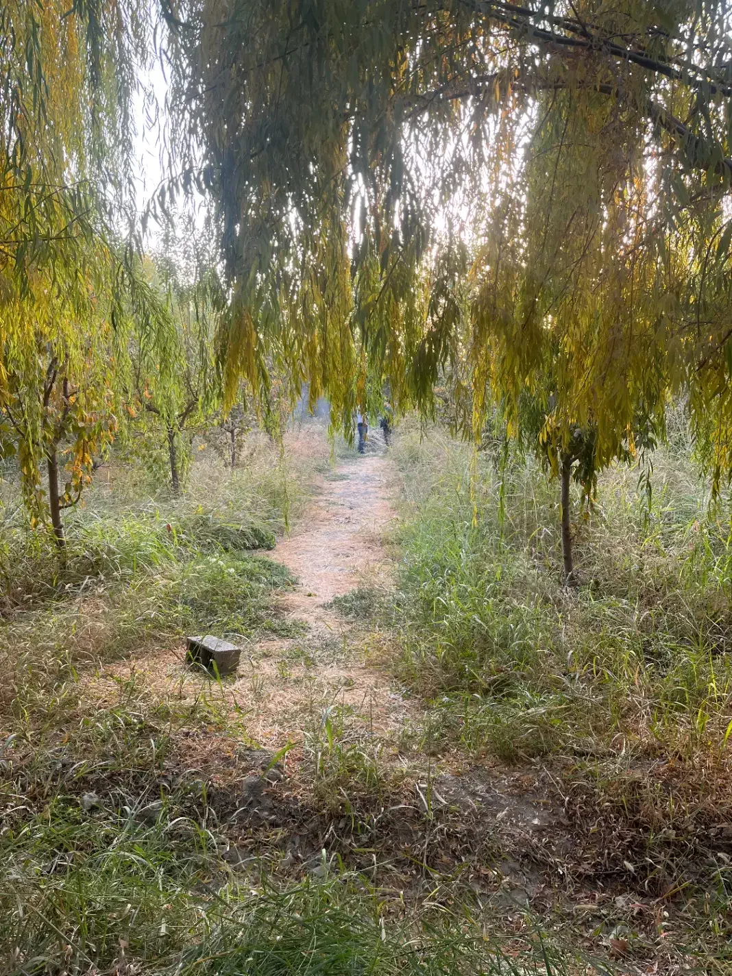 سعید اباد ۱۰۰۰متری