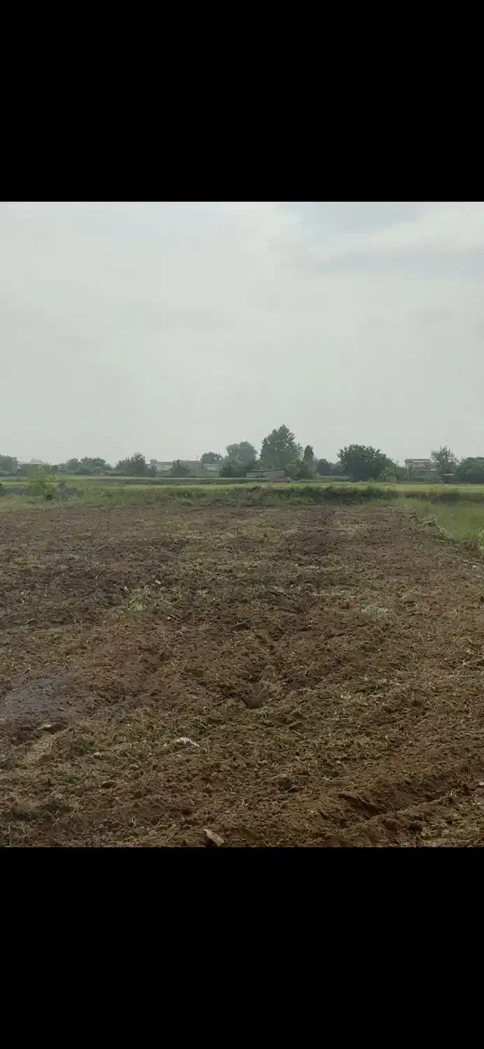 زمین  کشاوزی