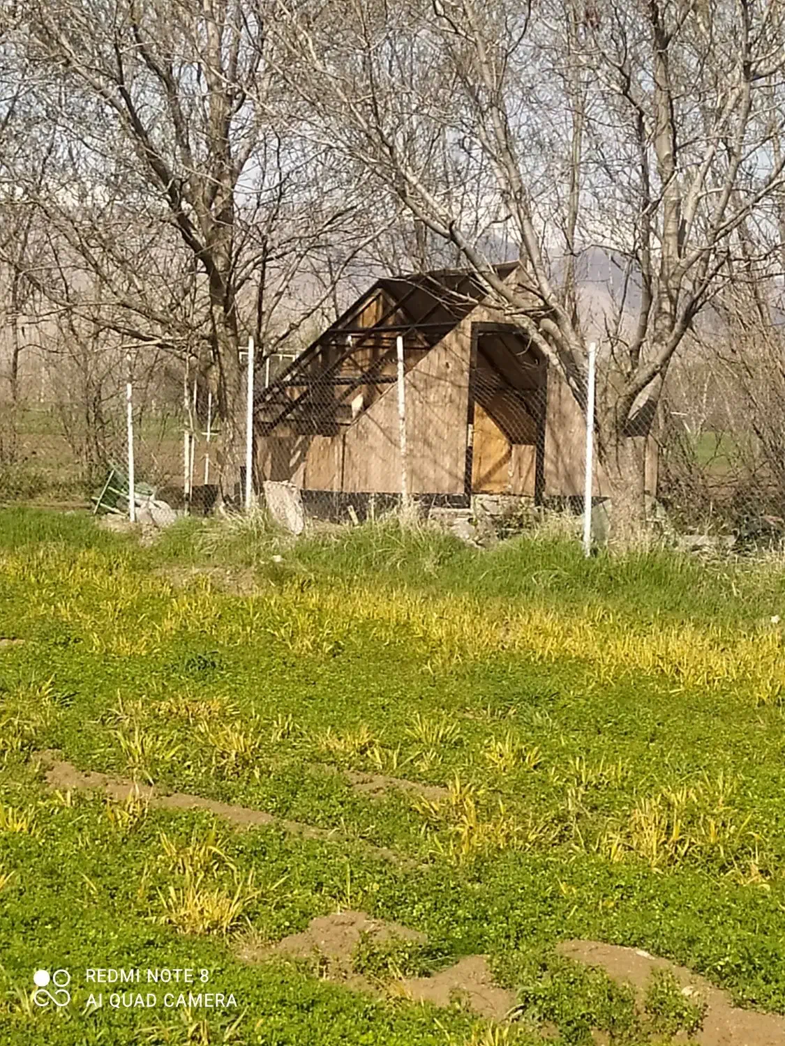 باغچه،گلخانه