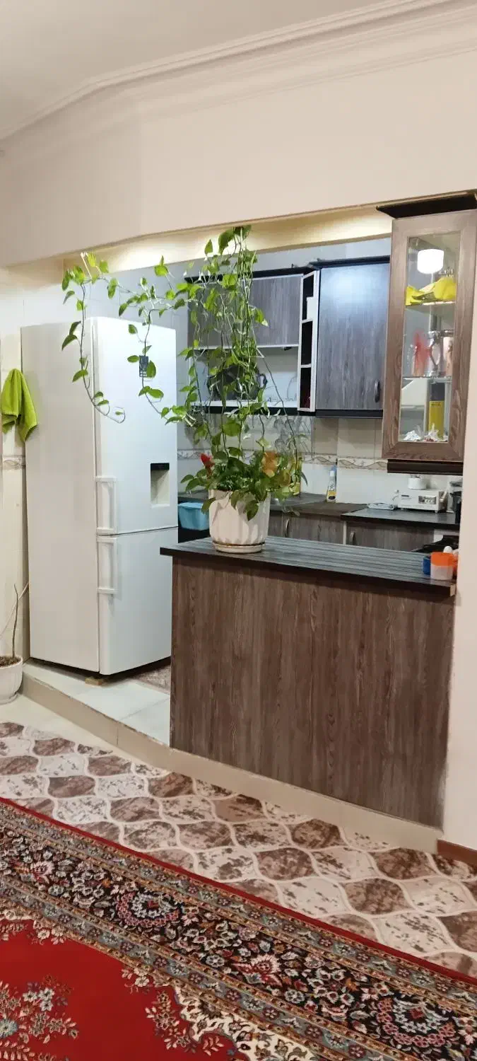 اجاره اپارتمان تک خواب ۶۵ متر