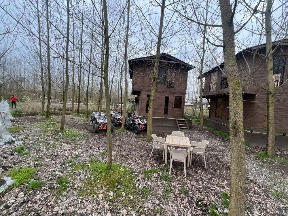 زندگی هوشمندانه