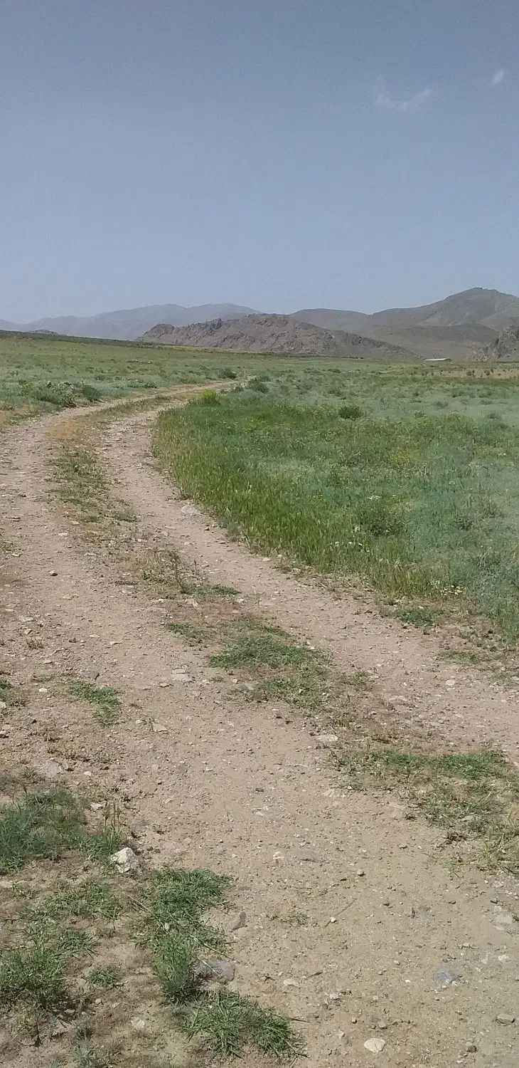 زمین کشاورزی متری ۵۵ هزارتومان