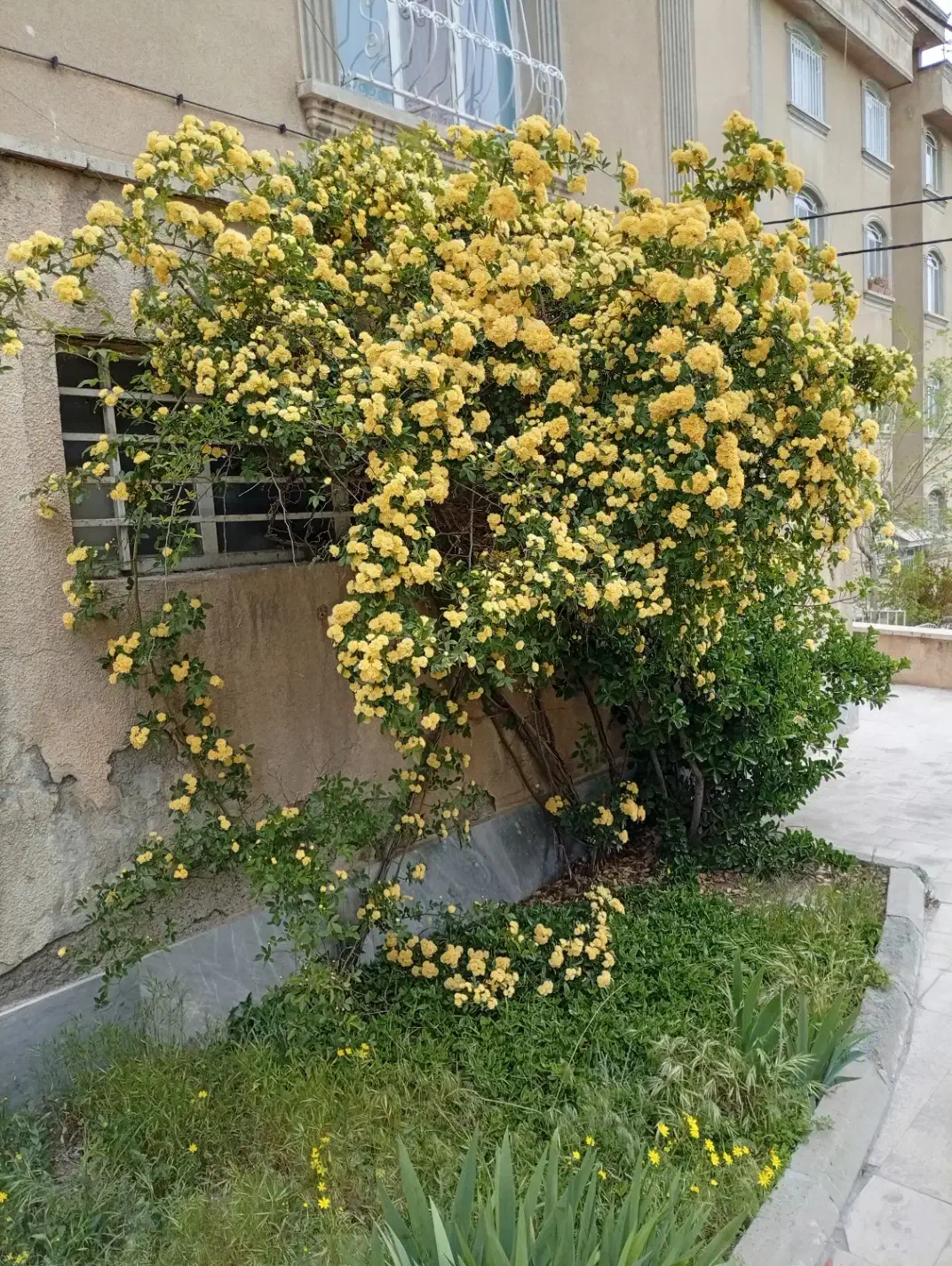 32000مترزمین4دیواری غرب تهران