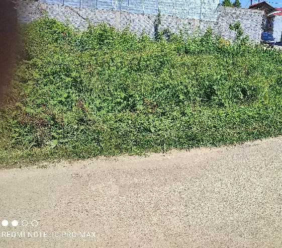 زمین مسکونی دوبر کوهبنه