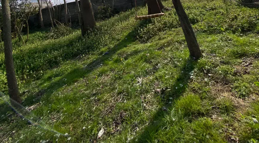 ۳۰۰زمین مسکونی