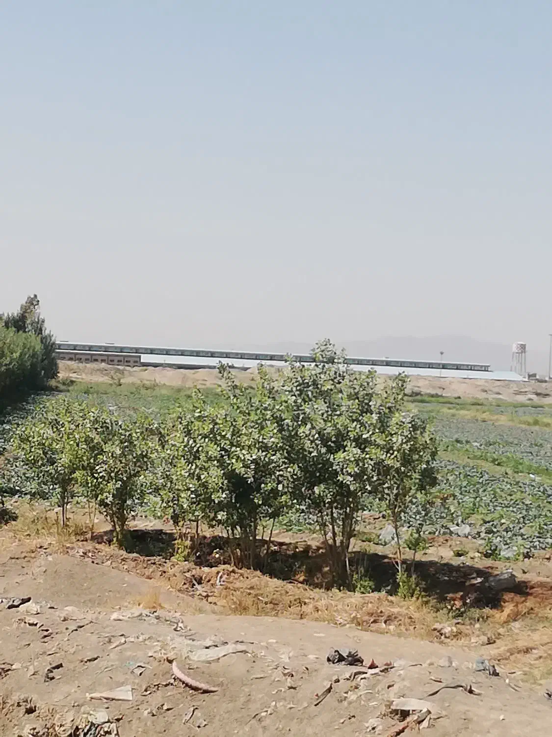 زمین کشاورزی