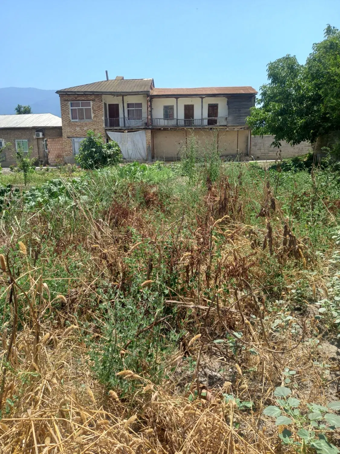 زمین ۳۱۶ متر در علی آباد کتول