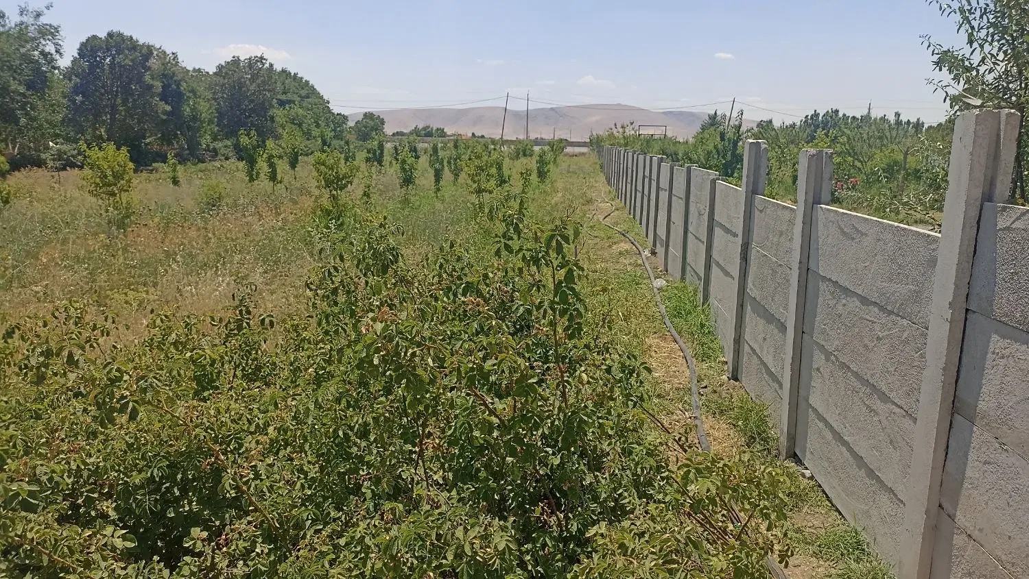 باغ و زمین تو طرح هادی روستای