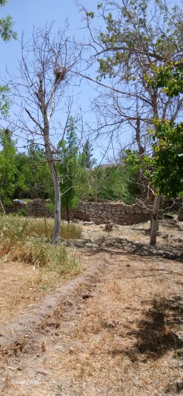 زمین فروشی
