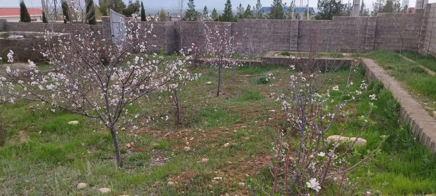 زمین 560 متری اصلاح نژاد دو نبش M4 دسترسی عالی