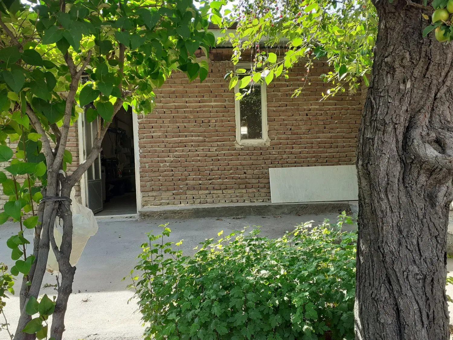 فروش زمین ۱۶۵ متر در نیار