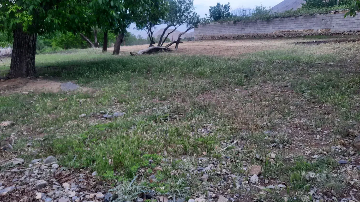 زمین باغ ویلا در روستای توریستی مرق کاشان