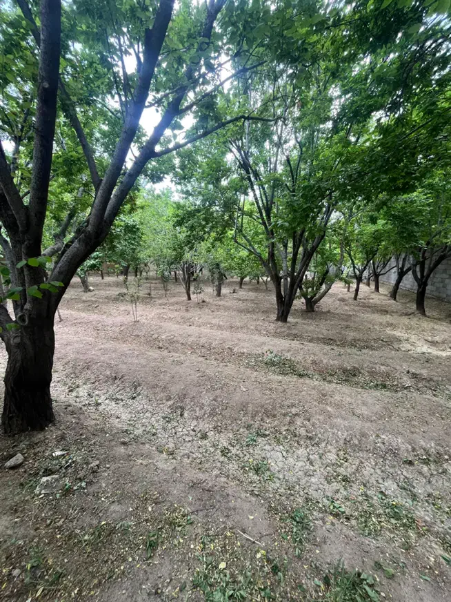 باغ۵۰۰متری قلعه سفید با برق