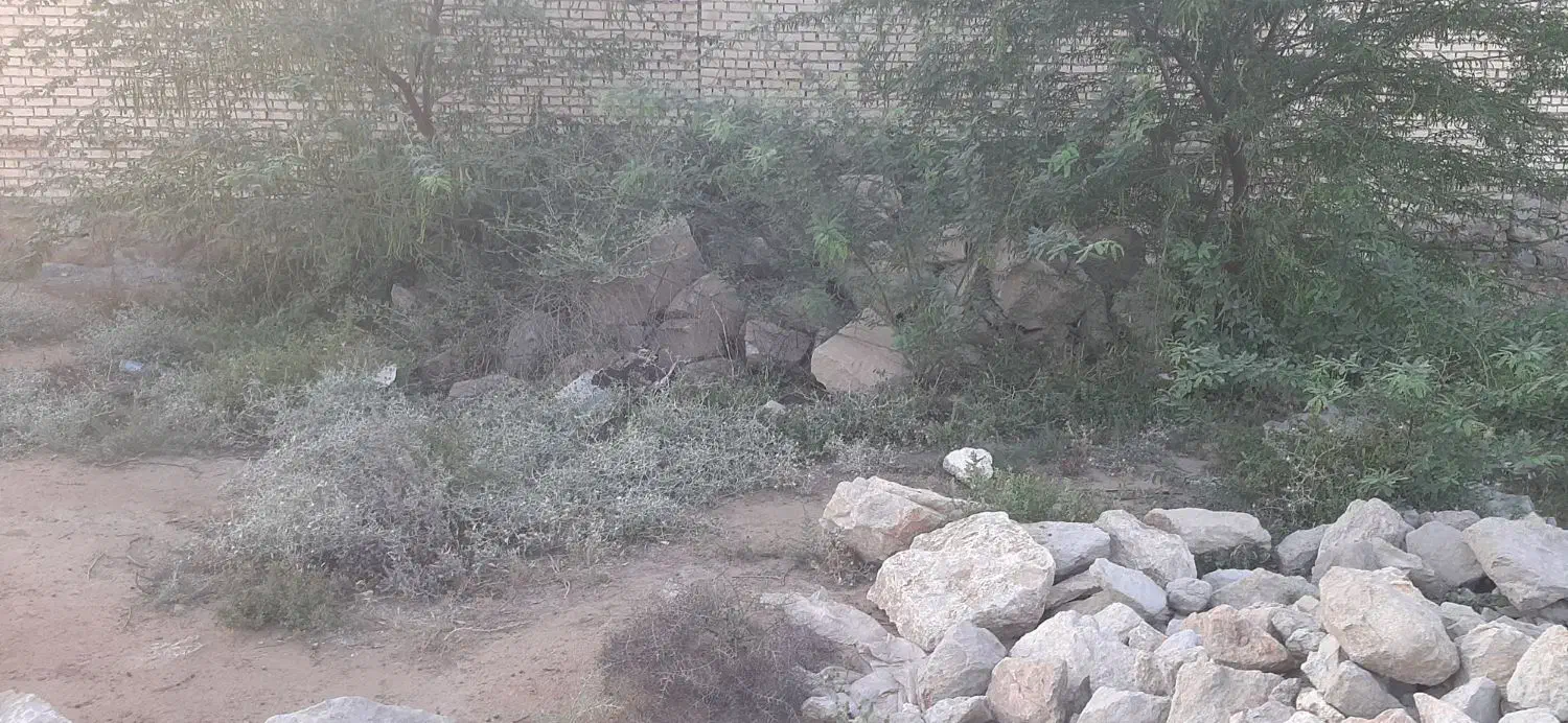 زمین در چاه سالم