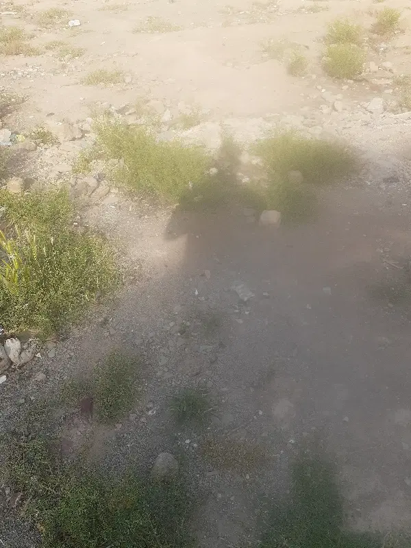 زمین شهرک صنعتی خیراباد