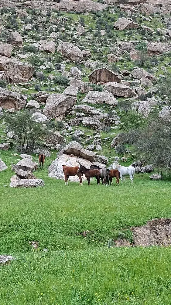 زمین در گورک  خیس اشکن