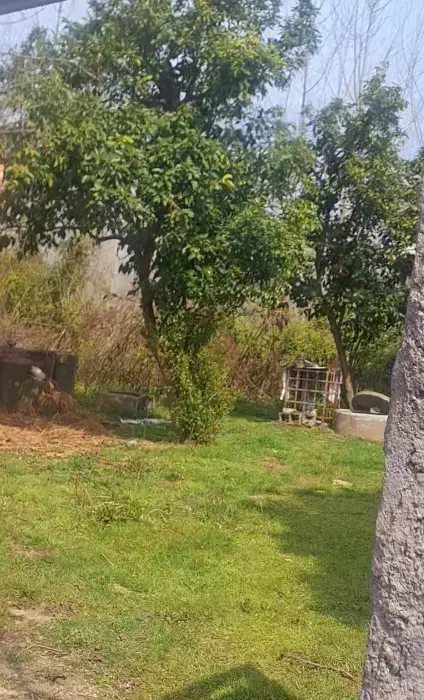 آپارتمان در خزانه بخارایی