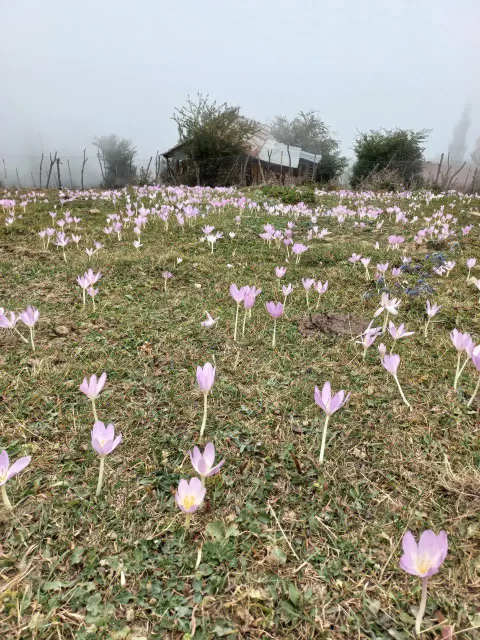 فروش زمین ویلایی